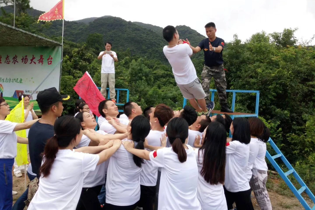 深圳企业团建| 拓展项目 ： 信任背摔