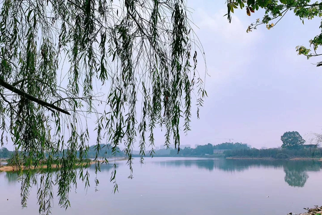 东莞松山湖拓展基地团队合作拓展训练项目：意念的力量
